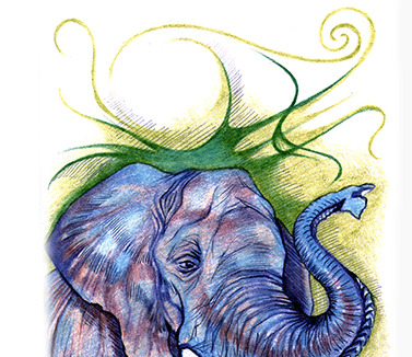 Elephant 