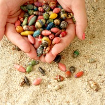 Multicolor Paper Beads- Haiti