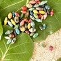 Multicolor Paper Beads- Haiti-1