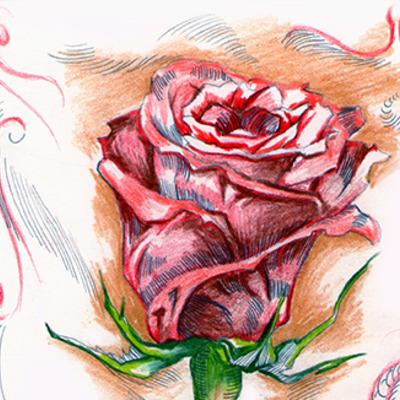 Red rose  - Thumbnail 4