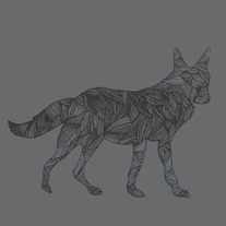 Fox print.