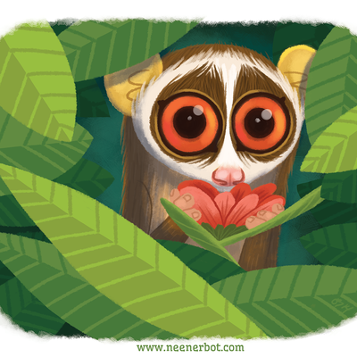 Shy loris print - Thumbnail 4