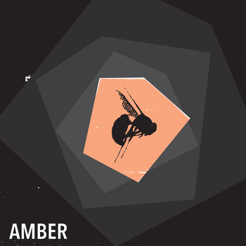Amber s/t 12" 