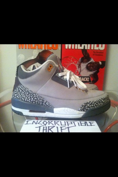 Air Jordan Cool Grey 3s