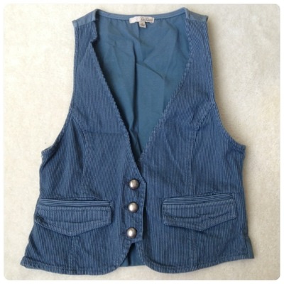 Blue Striped Vest