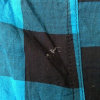 Black/Blue Plaid Button Down Shirt - Thumbnail 2