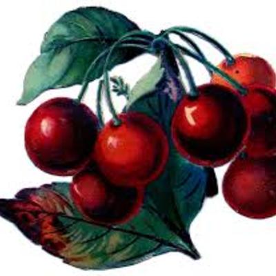 Black cherry bomb - long burning hand dipped incense