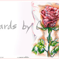 Red rose  - Thumbnail 2