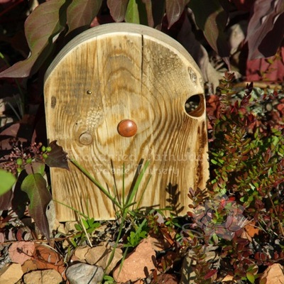 Magical wooden faerie door, fairy, ooak