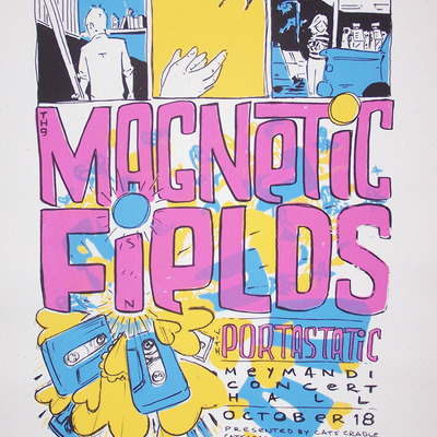 Magnetic fields, raleigh, nc 2008 - Thumbnail 2