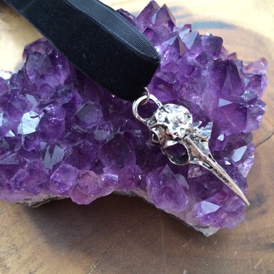Raven skull choker in silver