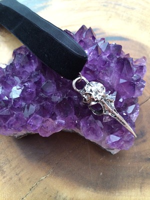 Raven Skull Choker in Silver