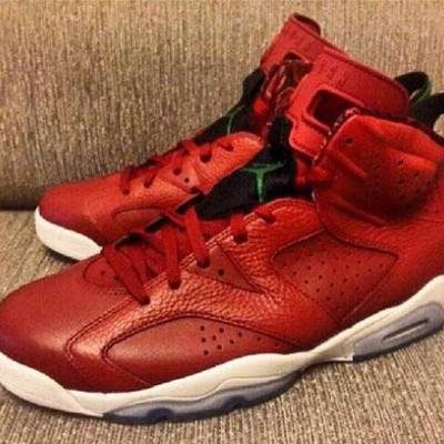 Air jordan retro 6 'history of jordan' 