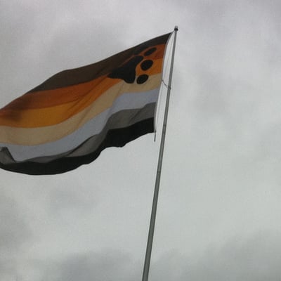Bear pride flag - Thumbnail 1