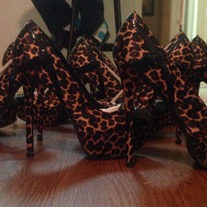 Leopard pump