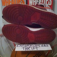 Dontrelle Willis Nike Dunks - Thumbnail 4