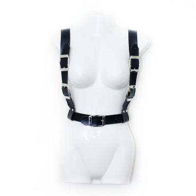Buckle harness