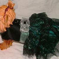 The Peacock Harness Dress - Thumbnail 3