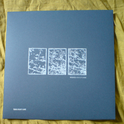 Wishes on a plane 10"