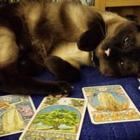 Tarot, Oracle, and Cartomancy psychic readings - Thumbnail 3