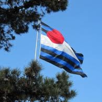 Leather pride flag 3x5 