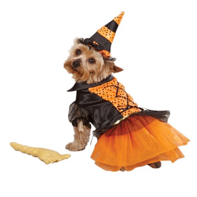 Spellhound witch costumes