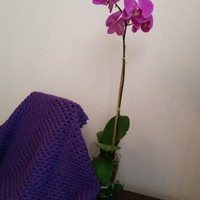 Crochet Shawl - Thumbnail 4