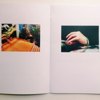 Metal Goat #10: Metal Goat - Thumbnail 3