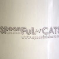 Cattuccino mug - Thumbnail 1