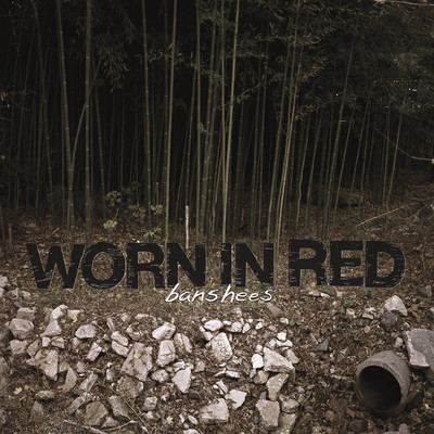 Worn in red "banshees" cd (no idea)