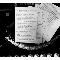 Let's Wreck Their Precious Perfect Little Town - Thumbnail 1