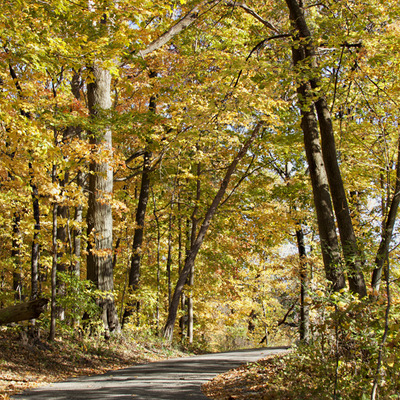 The path less traveled