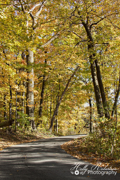 The path less Traveled