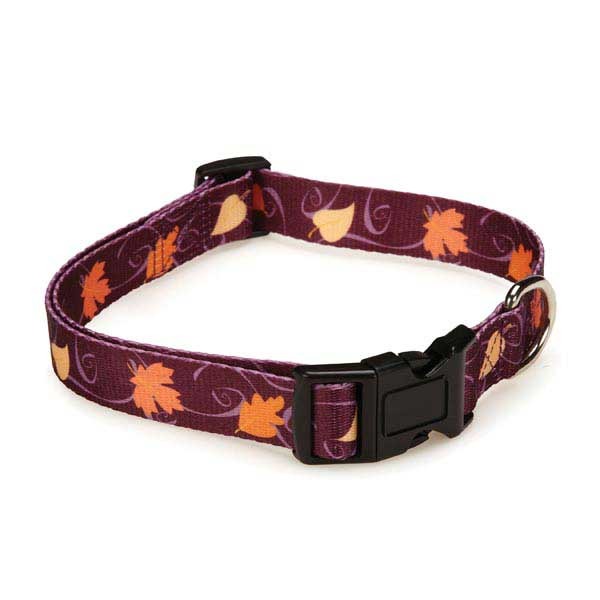 Harvest Dog Collars