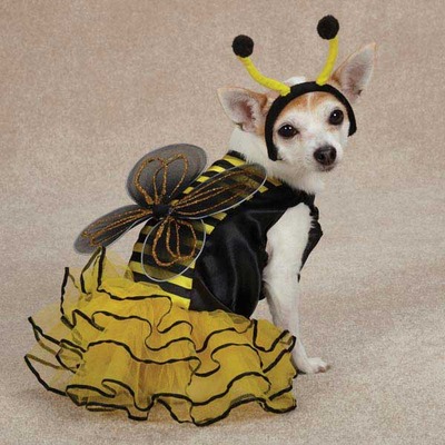 Bee mine costumes