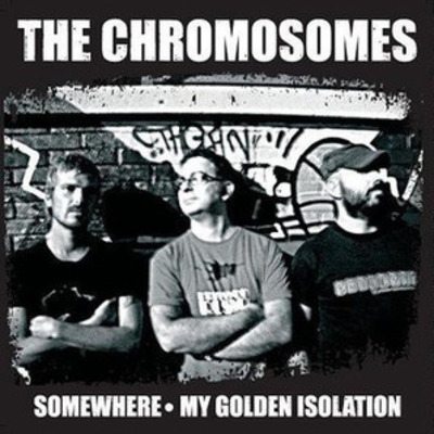 The chromosomes/the tarjas