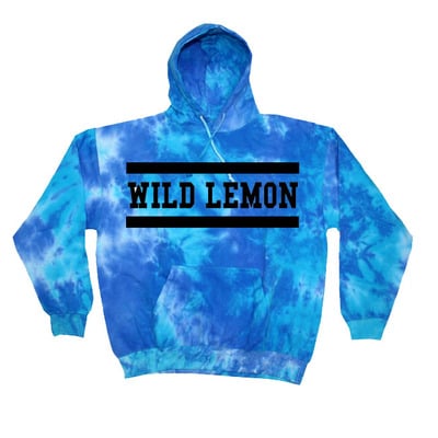 Splash sophomore logo