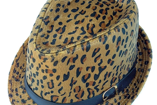 Trendsetting Fashions