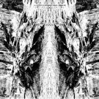 ANNA VO - THE CONDITION cass - Thumbnail 3