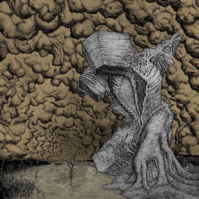 Anna vo, she continues to fail cass