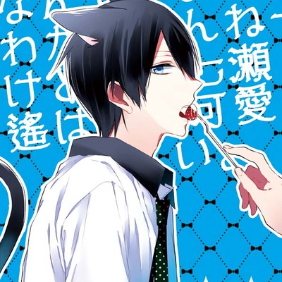 Free! rinharu doujinshi