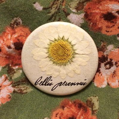 Real pressed daisy pinback button - Thumbnail 1