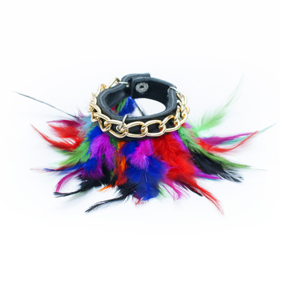 Rainbow feather Bracelet 