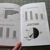 The Tiny Report: Micro-Press Yearbook 2013 - Thumbnail 3