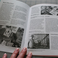 The Tiny Report: Micro-Press Yearbook 2013 - Thumbnail 1