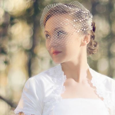 Stardust sequined birdcage veil