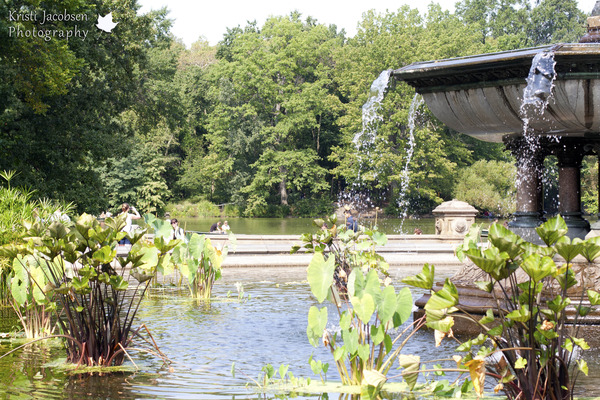 Bethesda Fountain 5x7 