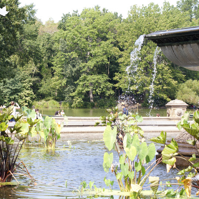 Bethesda fountain 8x10