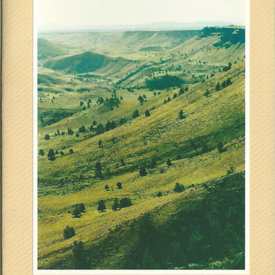 Metal goat #5: dry weather