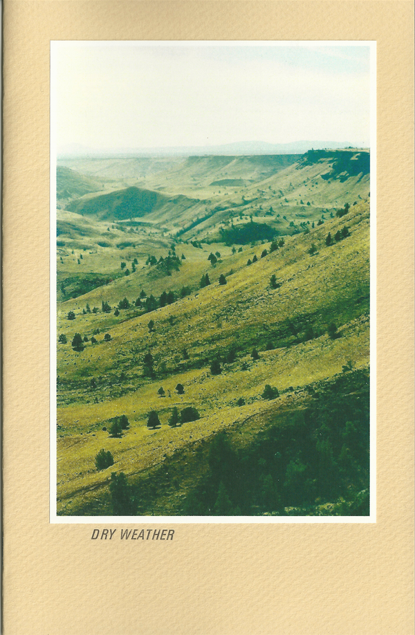 Metal Goat #5: Dry Weather